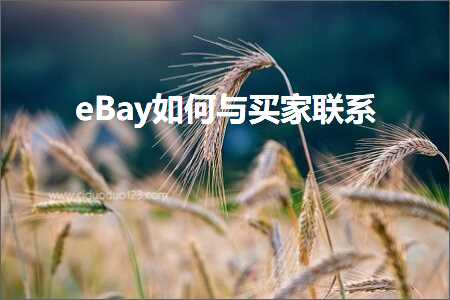 璺ㄥ鐢靛晢鐭ヨ瘑:eBay濡備綍涓庝拱瀹惰仈绯? width=