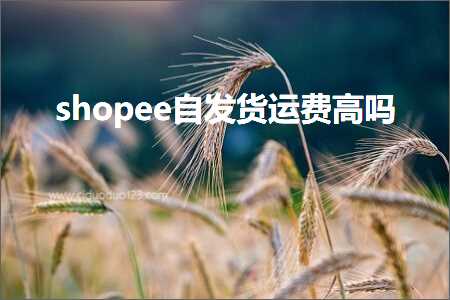 跨境电商知识:shopee自发货运费高吗