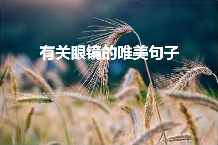 鏈夊叧鐪奸暅鐨勫敮缇庡彞瀛愶紙鏂囨260鏉★級