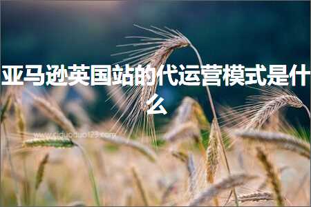 跨境电商知识:亚马逊英国站的代运营模式是什么