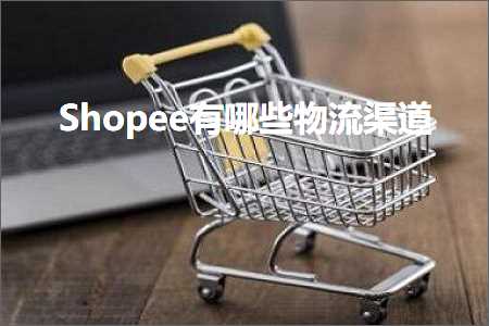 跨境电商知识:Shopee有哪些物流渠道