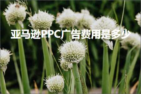 跨境电商知识:亚马逊PPC广告费用是多少