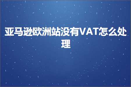 璺ㄥ鐢靛晢鐭ヨ瘑:浜氶┈閫婃娲茬珯娌℃湁VAT鎬庝箞澶勭悊