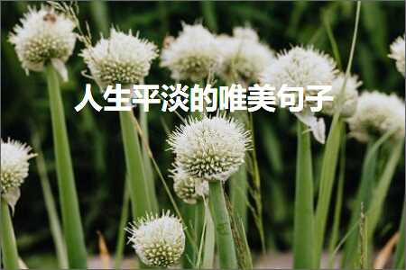 浜虹敓骞虫贰鐨勫敮缇庡彞瀛愶紙鏂囨62鏉★級